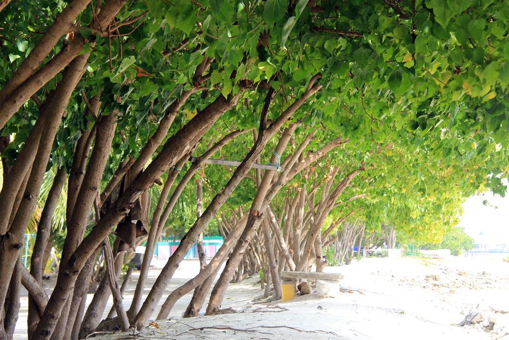 Rip Tide Vacation Inn, K.Guraidhoo Guraidhoo  Exterior photo